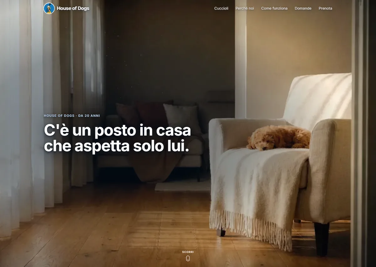 Anteprima del sito The House of Dog